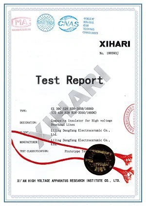 9.500kV Composite insulator test report